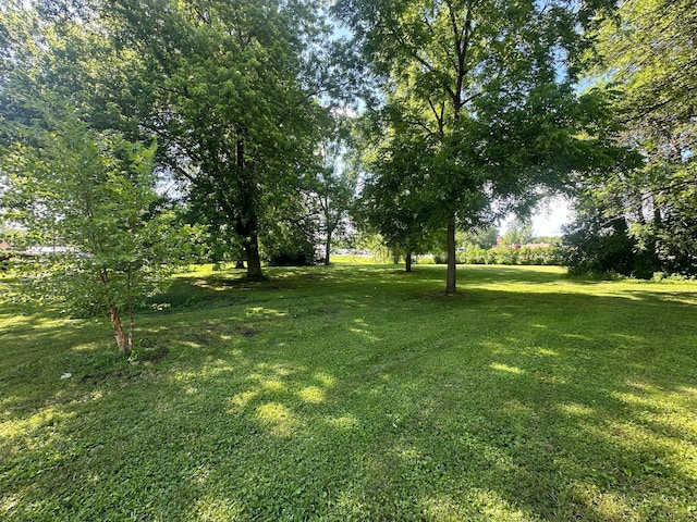 800 Frank St NW, Silver Lake, MN 55381 - photo 20