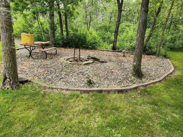 19963 County 18, Henrietta Twp, MN 56470 - view of green lawn