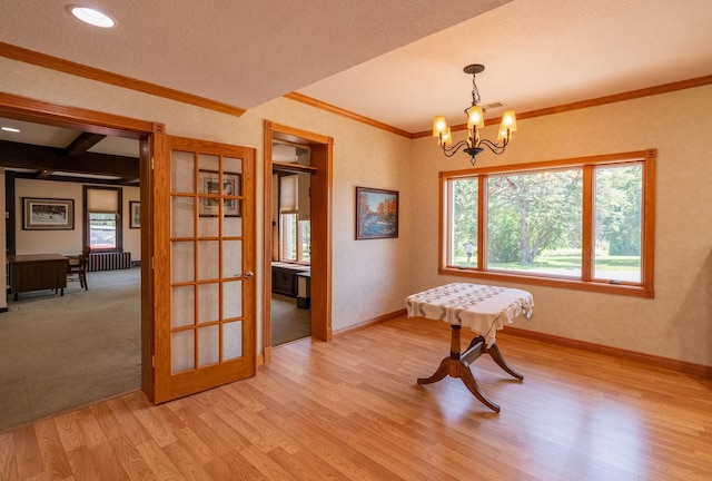 13698 Maple Rd, Medo Twp, MN 56065 - photo 6