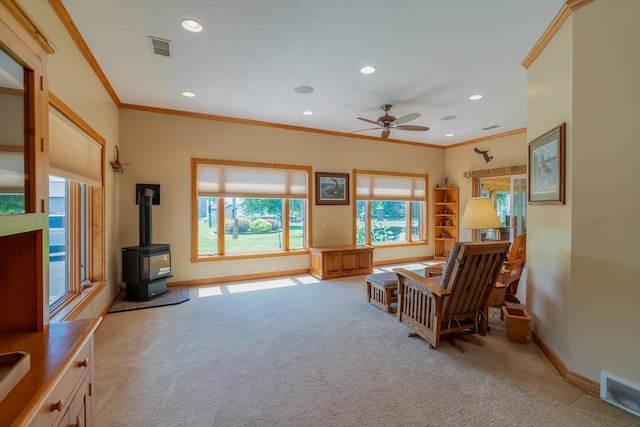 13698 Maple Rd, Medo Twp, MN 56065 - photo 7