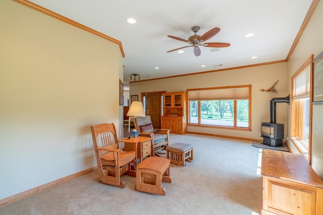 13698 Maple Rd, Medo Twp, MN 56065 - photo 8
