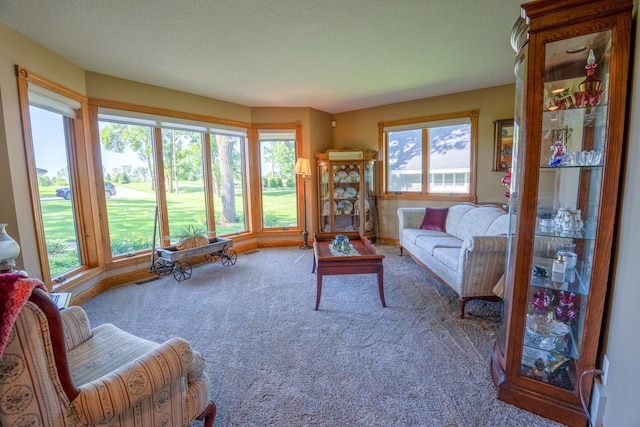 870 Andrew Dr NE, Lake Andrew Twp, MN 56273 - living room featuring carpet and a textured ceiling