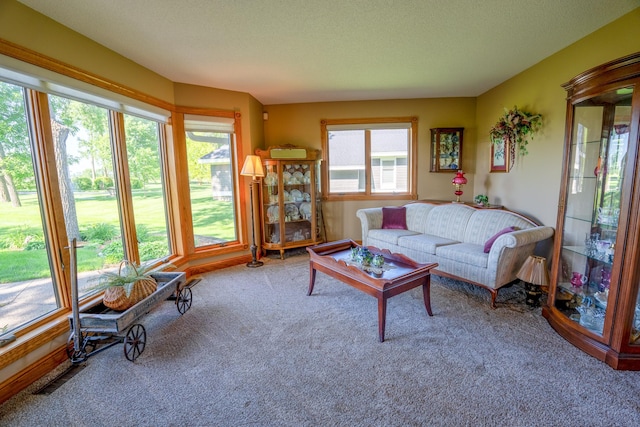 870 Andrew Dr NE, Lake Andrew Twp, MN 56273 - carpeted living area featuring a textured ceiling