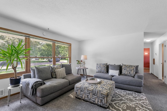 1620 7th St NW, New Brighton, MN 55112 - carpeted living room with a textured ceiling and baseboards