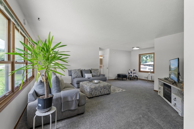 1620 7th St NW, New Brighton, MN 55112 - carpeted living room with a textured ceiling