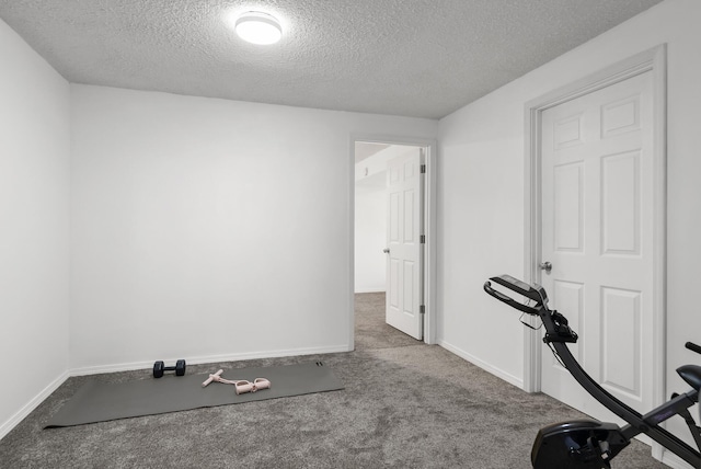 1620 7th St NW, New Brighton, MN 55112 - workout area with a textured ceiling and carpet flooring