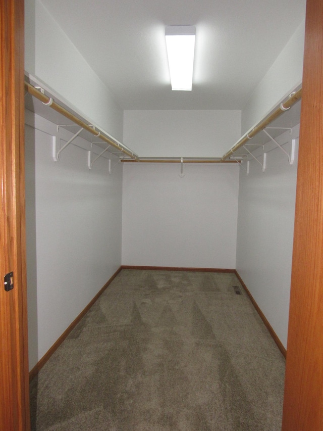 316 8th St NE, Fulda, MN 56131 - walk in closet with carpet floors