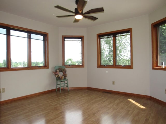 316 8th St NE, Fulda, MN 56131 - empty room featuring healthy amount of natural light, ceiling fan, and light wood-type flooring
