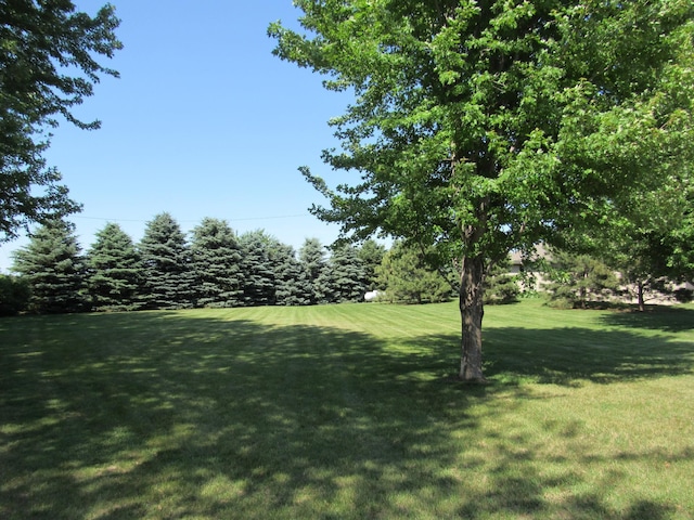 316 8th St NE, Fulda, MN 56131 - view of green lawn