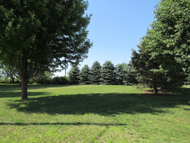 316 8th St NE, Fulda, MN 56131 - view of grassy yard