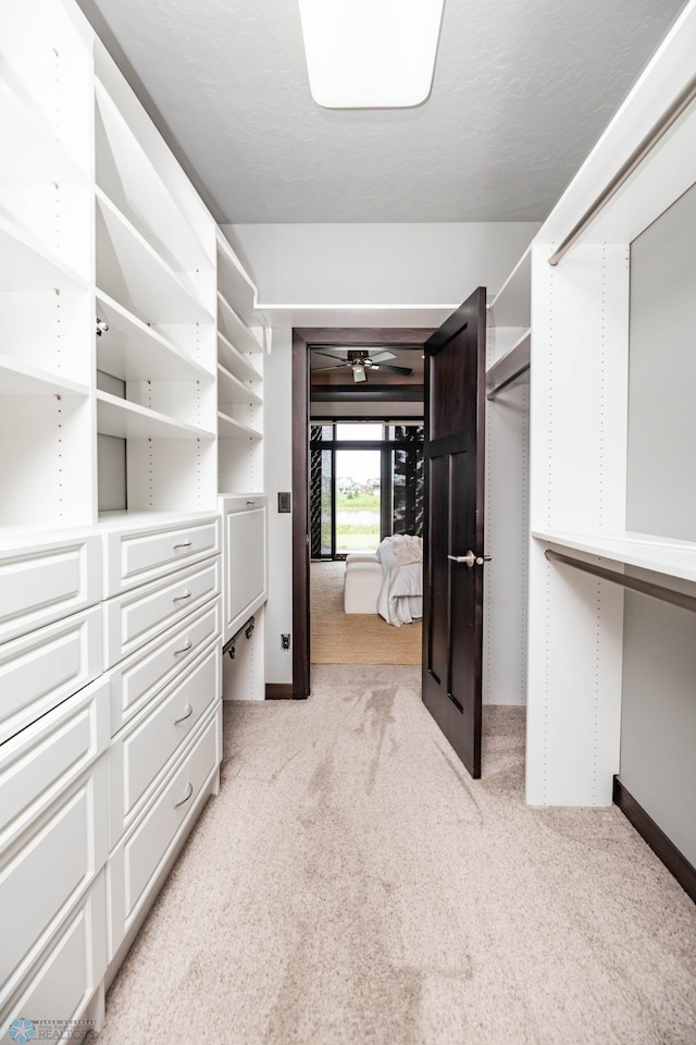 7373 14th St S, Fargo, ND 58104 - spacious closet featuring light carpet