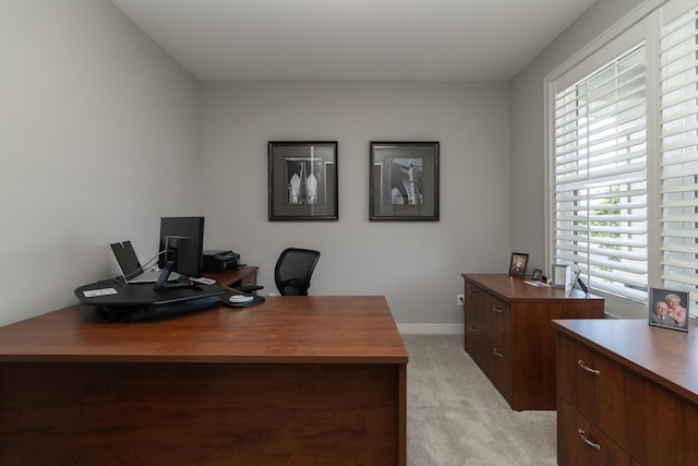 14714 146th Ave N, Dayton, MN 55327 - home office with light carpet and baseboards