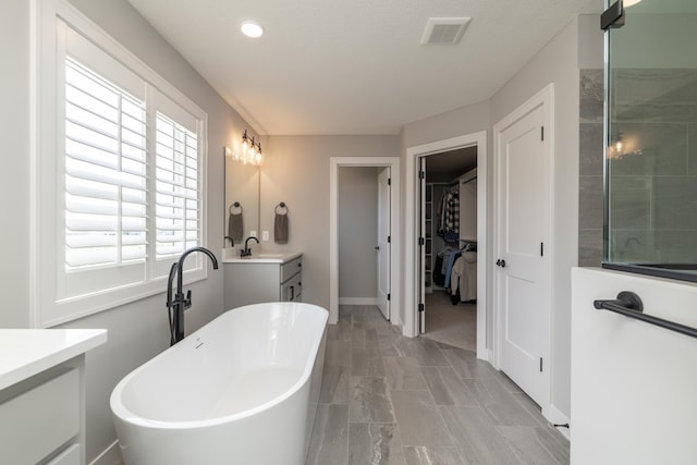 14714 146th Ave N, Dayton, MN 55327 - bathroom with vanity, a freestanding tub, a spacious closet, and a shower