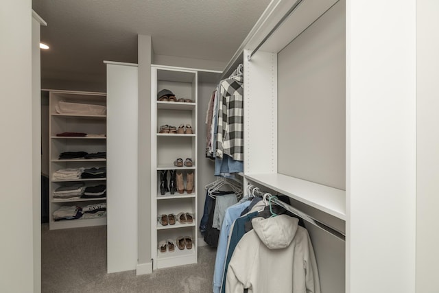 14714 146th Ave N, Dayton, MN 55327 - spacious closet featuring carpet