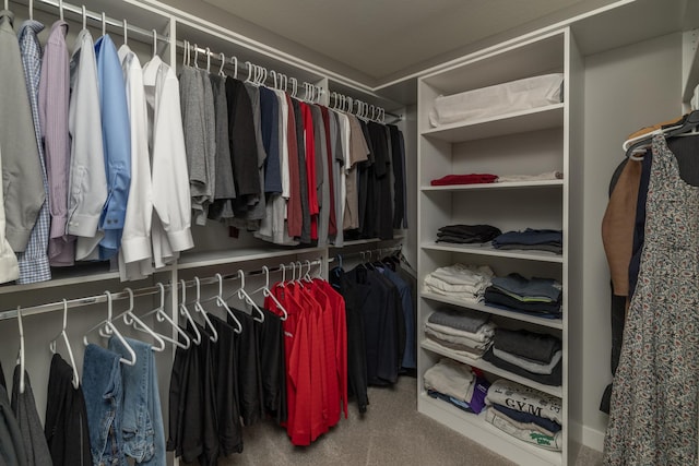 14714 146th Ave N, Dayton, MN 55327 - spacious closet with carpet floors