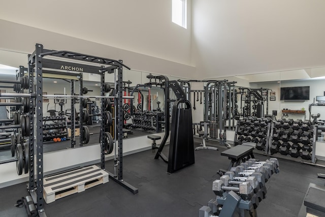 14714 146th Ave N, Dayton, MN 55327 - gym featuring a high ceiling