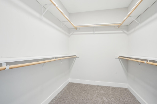 14147 77th Ln NE, Otsego, MN 55330 - spacious closet featuring carpet floors