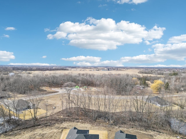 14147 77th Ln NE, Otsego, MN 55330 - view of yard with a rural view