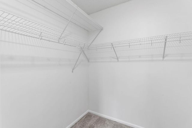 14377 Chestnut Dr, Eden Prairie, MN 55347 - photo 24
