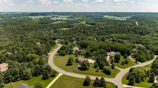 160 River Bluff Pl NW, Cascade Twp, MN 55901 - drone / aerial view of a heavily wooded area