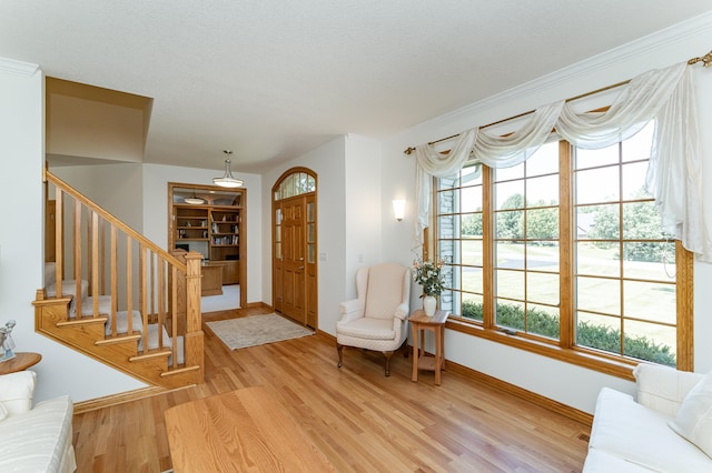 160 River Bluff Pl NW, Cascade Twp, MN 55901 - foyer entrance featuring light wood-style floors, stairs, and healthy amount of natural light