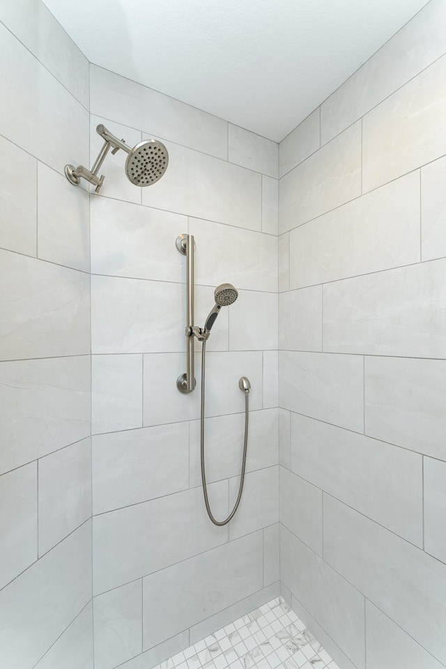 160 River Bluff Pl NW, Cascade Twp, MN 55901 - full bathroom featuring a tile shower