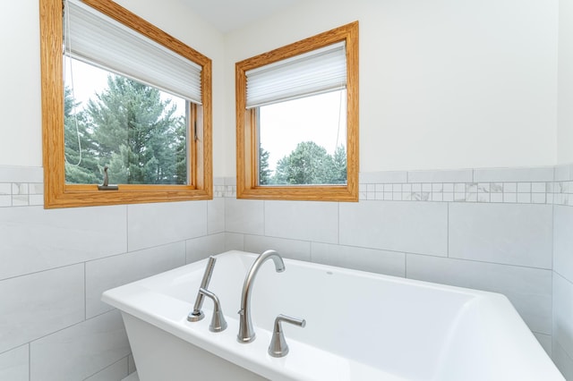 160 River Bluff Pl NW, Cascade Twp, MN 55901 - bathroom featuring a freestanding bath and tile walls