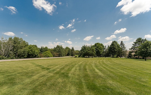 160 River Bluff Pl NW, Cascade Twp, MN 55901 - view of grassy yard