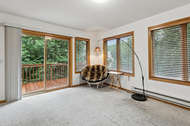 3406 Eagan Oaks Ct, Eagan, MN 55123 - sitting room with carpet flooring, plenty of natural light, a baseboard heating unit, and a textured ceiling