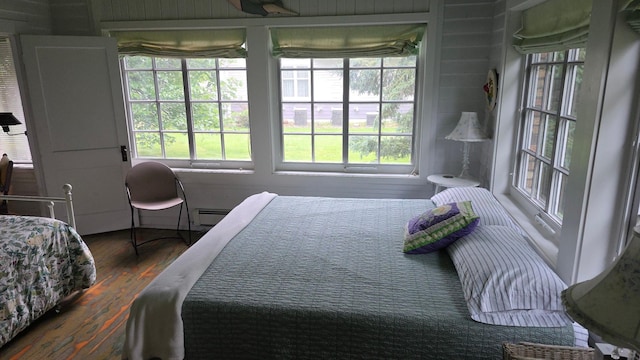 3307 Nokomis NE, Alexandria, MN 56308 - bedroom with wood finished floors and a baseboard heating unit