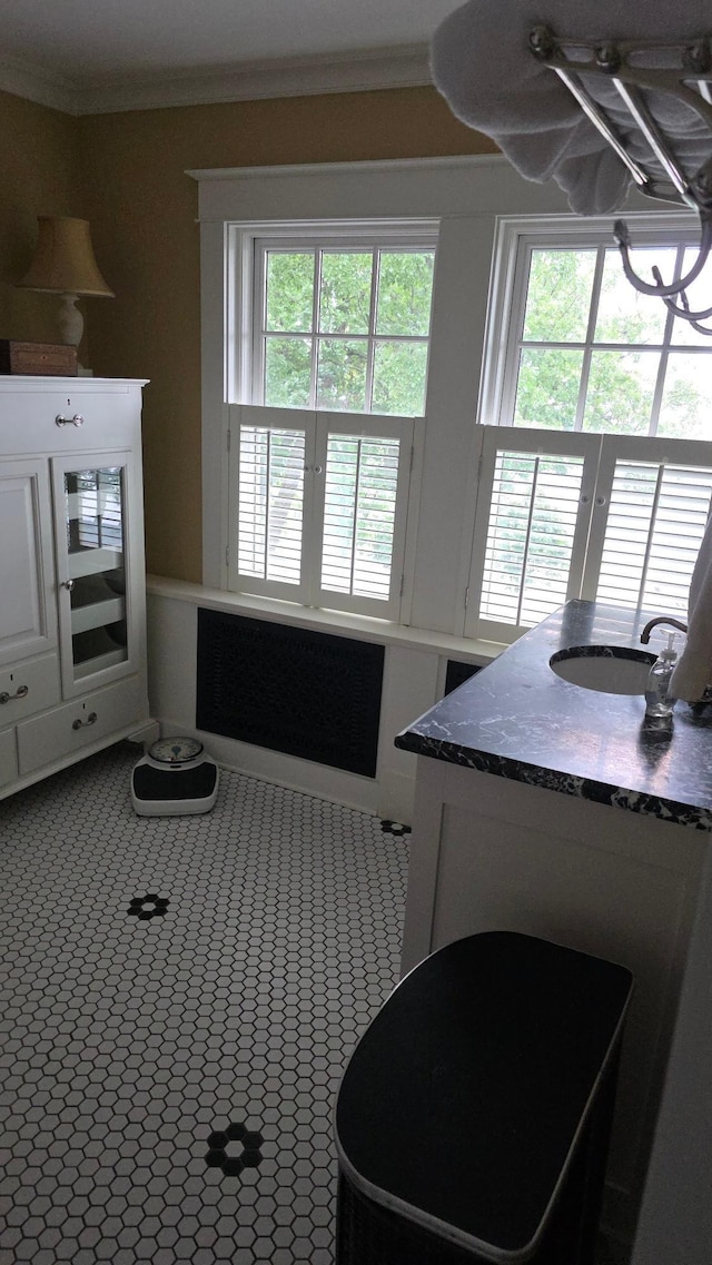 3307 Nokomis NE, Alexandria, MN 56308 - bathroom with plenty of natural light, vanity, and crown molding