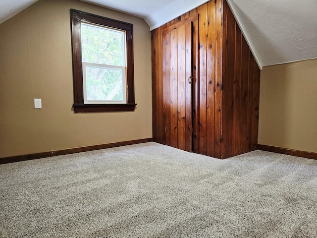 1204 10th St NE, Austin, MN 55912 - additional living space featuring vaulted ceiling and carpet floors