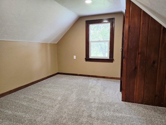 1204 10th St NE, Austin, MN 55912 - additional living space featuring carpet and vaulted ceiling