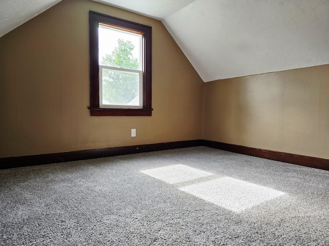 1204 10th St NE, Austin, MN 55912 - additional living space with carpet floors and vaulted ceiling
