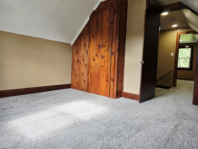 1204 10th St NE, Austin, MN 55912 - additional living space with vaulted ceiling and carpet floors