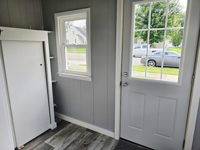 1204 10th St NE, Austin, MN 55912 - entryway with dark wood-type flooring, plenty of natural light, and a decorative wall