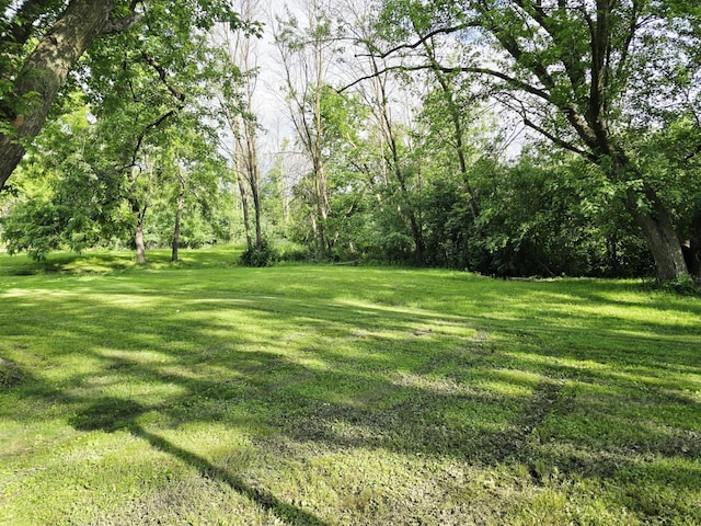 1204 10th St NE, Austin, MN 55912 - view of green lawn