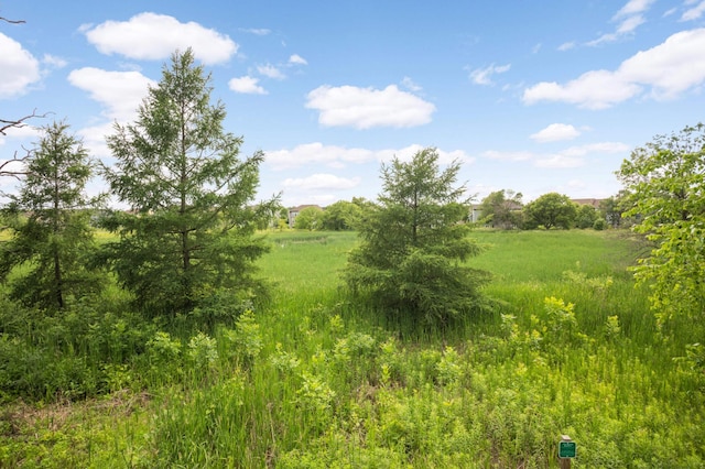 3153 Magnolia Dr, Medina, MN 55340 - view of undeveloped land