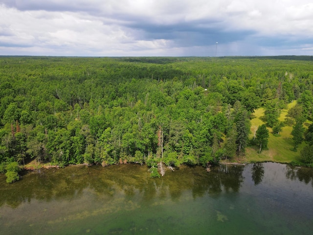 ParcelB County Road 35, Lake Jessie Twp, MN 56636 - photo 1