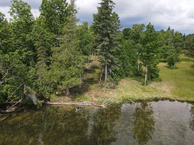 ParcelB County Road 35, Lake Jessie Twp, MN 56636 - photo 3