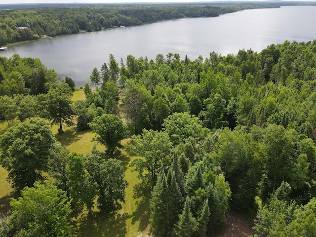 ParcelB County Road 35, Lake Jessie Twp, MN 56636 - photo 4