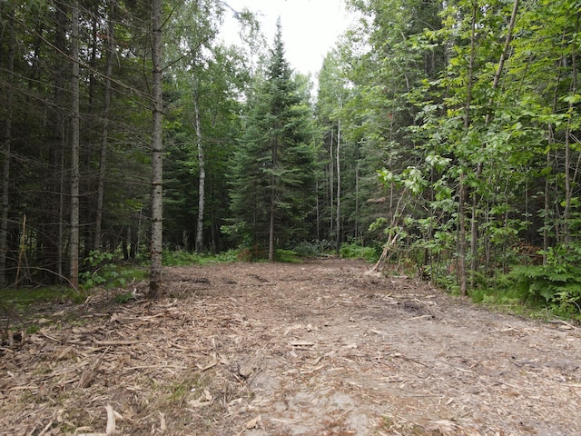 ParcelB County Road 35, Lake Jessie Twp, MN 56636 - photo 6