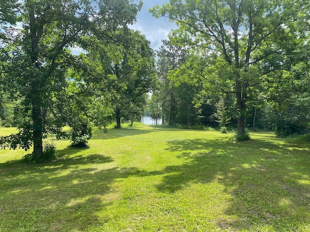 ParcelB County Road 35, Lake Jessie Twp, MN 56636 - photo 10