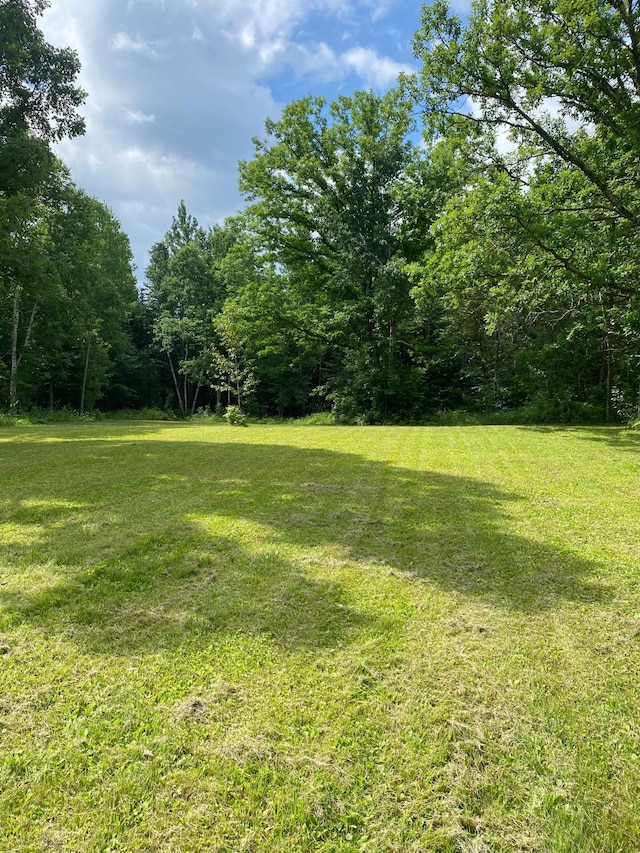 ParcelB County Road 35, Lake Jessie Twp, MN 56636 - photo 11