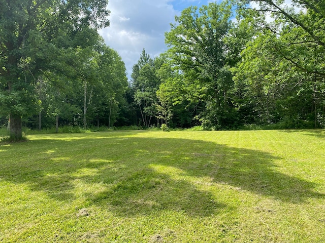 ParcelB County Road 35, Lake Jessie Twp, MN 56636 - photo 12
