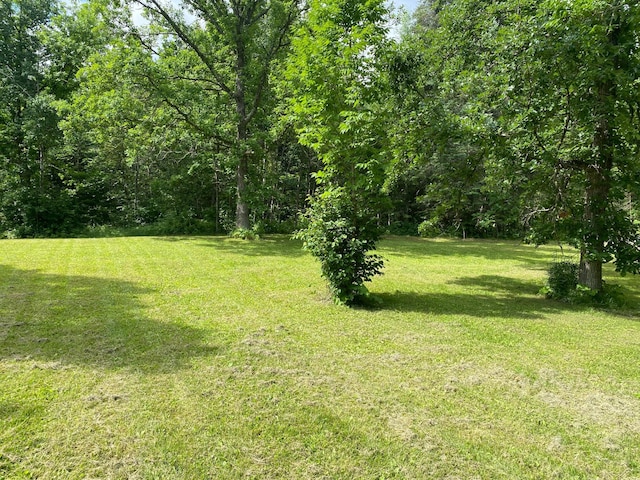 ParcelB County Road 35, Lake Jessie Twp, MN 56636 - photo 13