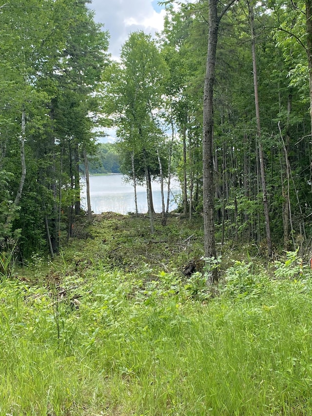 ParcelB County Road 35, Lake Jessie Twp, MN 56636 - photo 16