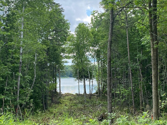 ParcelB County Road 35, Lake Jessie Twp, MN 56636 - photo 17