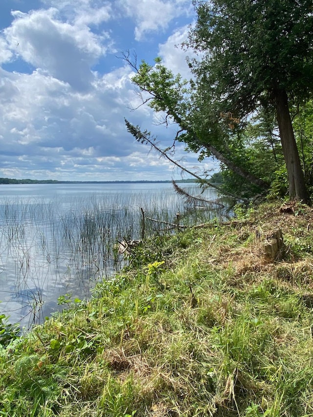 ParcelB County Road 35, Lake Jessie Twp, MN 56636 - photo 19