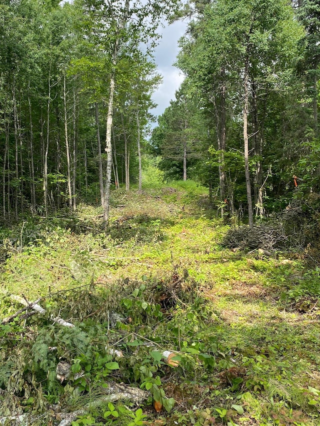 ParcelB County Road 35, Lake Jessie Twp, MN 56636 - photo 24